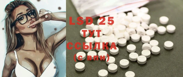 шишки Бородино