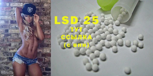 шишки Бородино