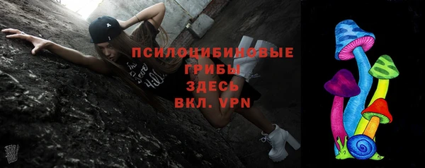 шишки Бородино