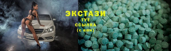 шишки Бородино