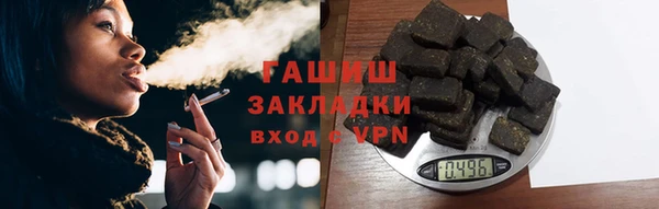 шишки Бородино