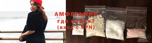 шишки Бородино