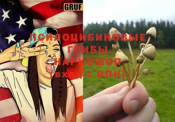 шишки Бородино