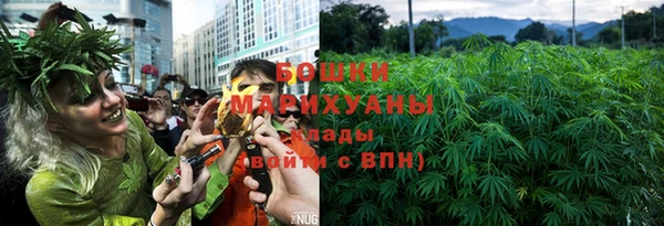 шишки Бородино