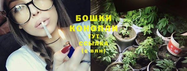 СК Бронницы