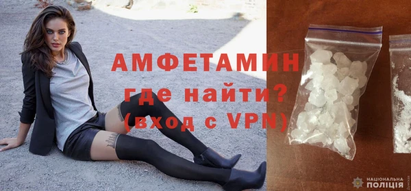 шишки Бородино