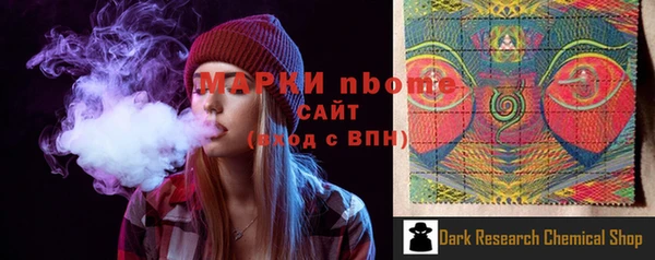 СК Бронницы
