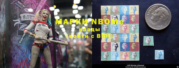 шишки Бородино