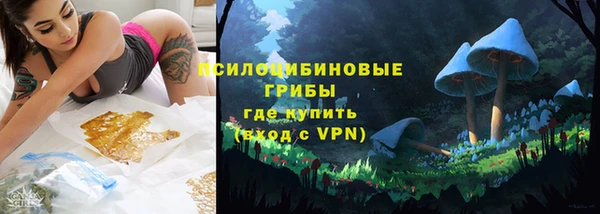 шишки Бородино