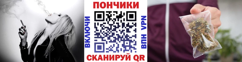 Каннабис план Новохопёрск