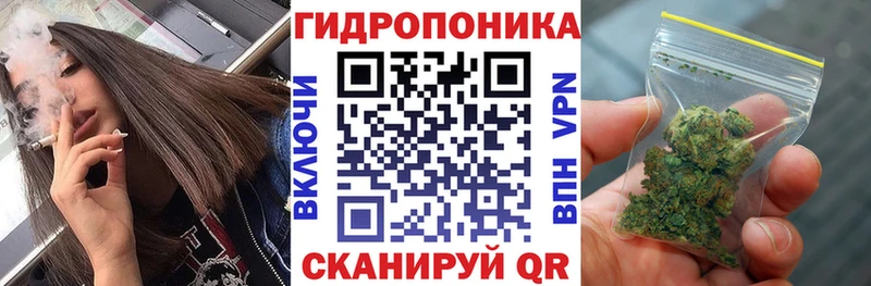 Бошки марихуана ГИДРОПОН  Купить  Новохопёрск 